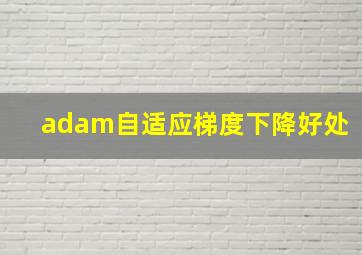 adam自适应梯度下降好处