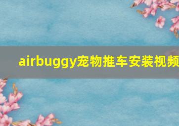 airbuggy宠物推车安装视频