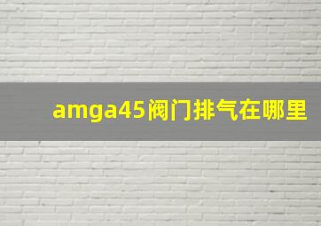 amga45阀门排气在哪里