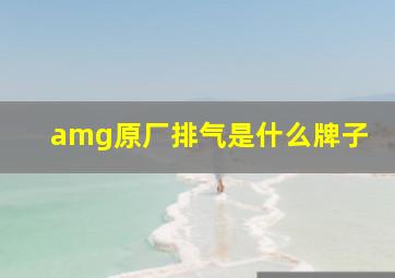 amg原厂排气是什么牌子