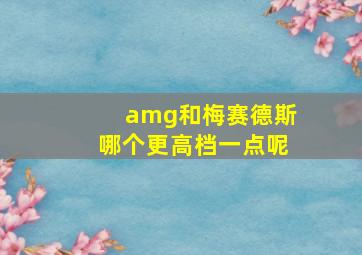 amg和梅赛德斯哪个更高档一点呢