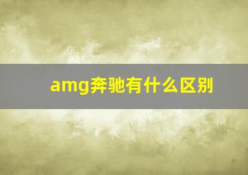 amg奔驰有什么区别