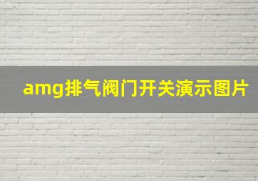 amg排气阀门开关演示图片