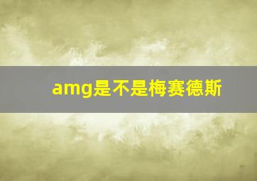 amg是不是梅赛德斯