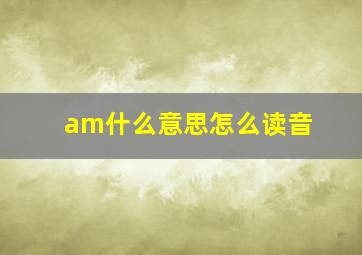 am什么意思怎么读音