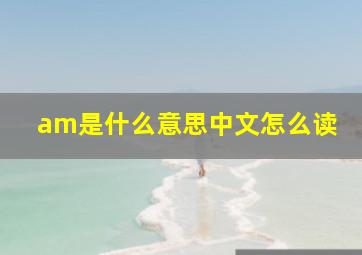 am是什么意思中文怎么读