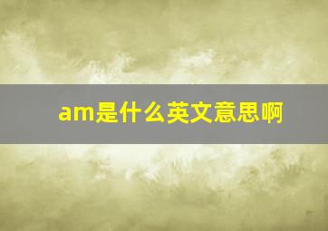 am是什么英文意思啊