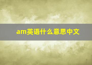 am英语什么意思中文