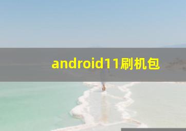 android11刷机包