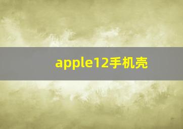 apple12手机壳