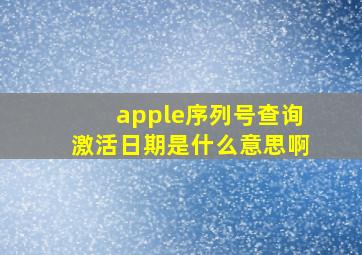 apple序列号查询激活日期是什么意思啊