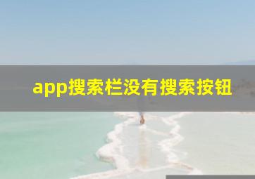 app搜索栏没有搜索按钮