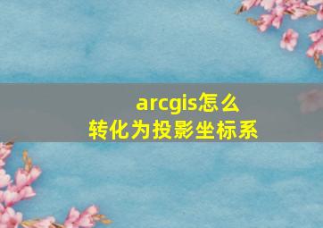 arcgis怎么转化为投影坐标系