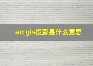 arcgis投影是什么意思