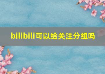 bilibili可以给关注分组吗