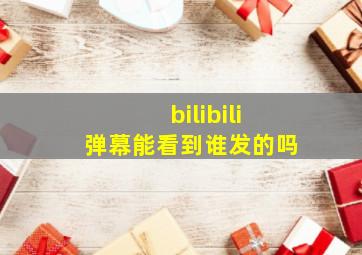 bilibili弹幕能看到谁发的吗