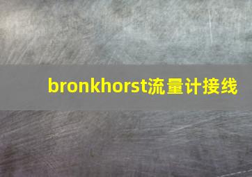 bronkhorst流量计接线