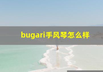 bugari手风琴怎么样