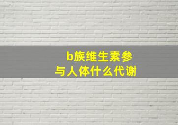 b族维生素参与人体什么代谢