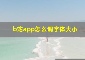 b站app怎么调字体大小