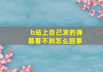 b站上自己发的弹幕看不到怎么回事