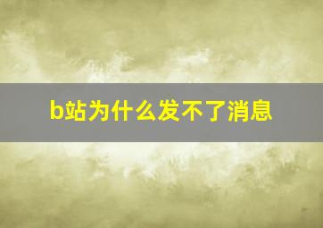 b站为什么发不了消息