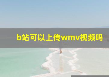 b站可以上传wmv视频吗