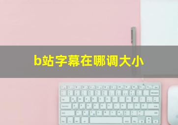 b站字幕在哪调大小