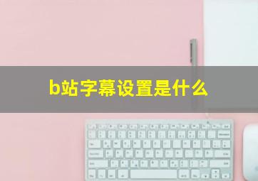 b站字幕设置是什么