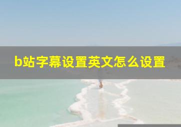 b站字幕设置英文怎么设置