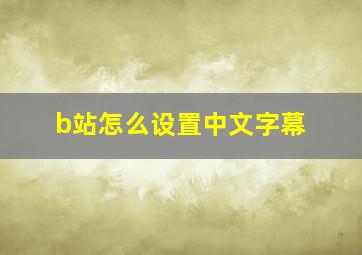 b站怎么设置中文字幕