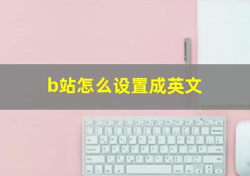 b站怎么设置成英文