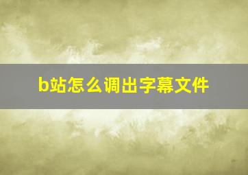 b站怎么调出字幕文件