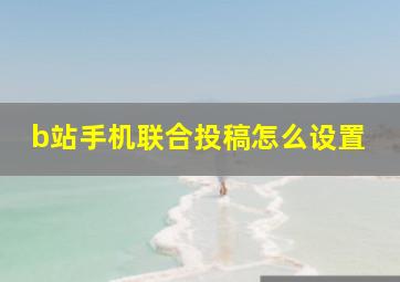 b站手机联合投稿怎么设置