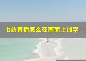 b站直播怎么在画面上加字