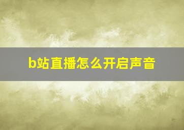 b站直播怎么开启声音