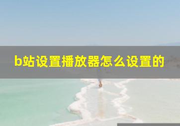 b站设置播放器怎么设置的