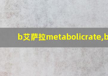 b艾萨拉metabolicrate,bmr