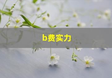 b费实力