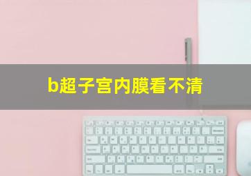 b超子宫内膜看不清