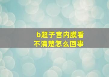 b超子宫内膜看不清楚怎么回事