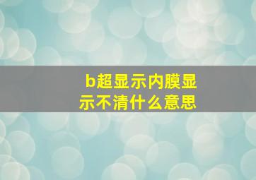 b超显示内膜显示不清什么意思