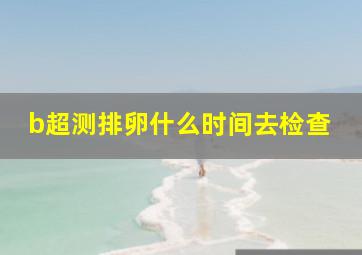 b超测排卵什么时间去检查