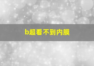 b超看不到内膜