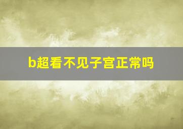 b超看不见子宫正常吗