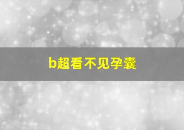 b超看不见孕囊