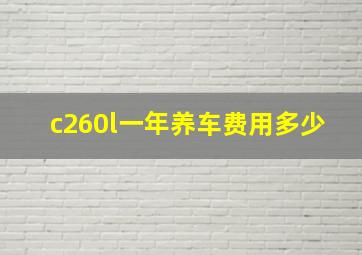 c260l一年养车费用多少