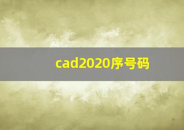 cad2020序号码