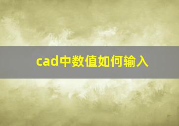 cad中数值如何输入