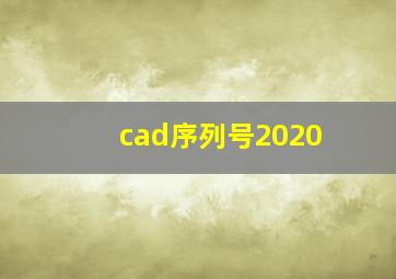 cad序列号2020